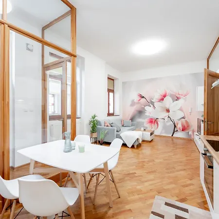Mlynska 3 Centrum 150m2 Apartment Kosice
