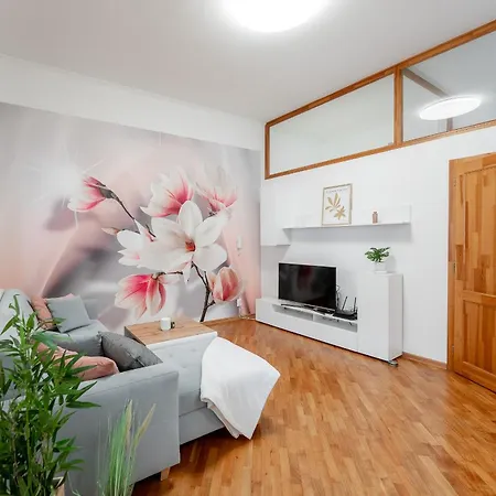 Apartmán Mlynska 3 Centrum 150m2