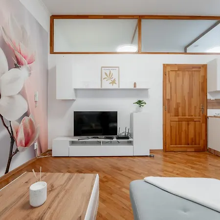 Apartmán Mlynska 3 Centrum 150m2