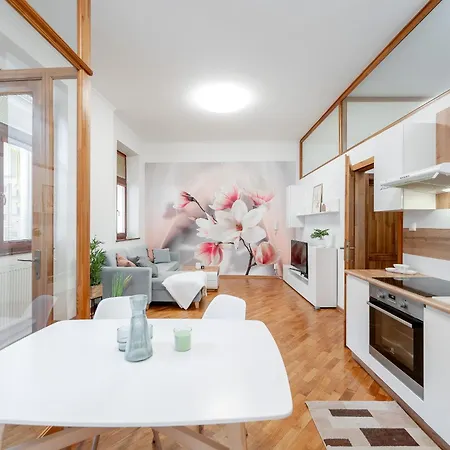 Apartmán Mlynska 3 Centrum 150m2 *