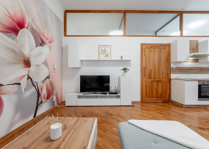 Apartmán Mlynska 3 Centrum 150m2