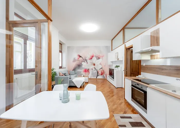 Apartmán Mlynska 3 Centrum 150m2 *